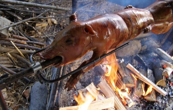 Roasting Pig