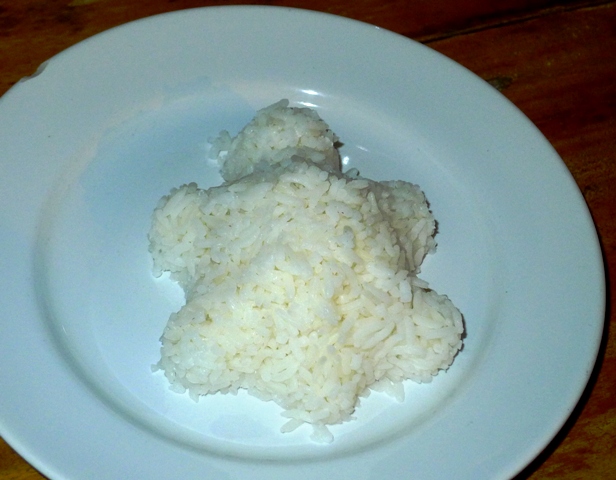 Rice Turtle Side of Rice