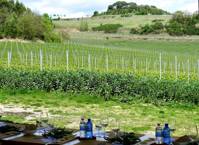 Terre Margaritelli Winery Umbria Italy