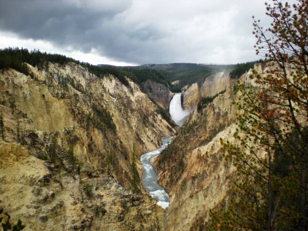 Yellowstone