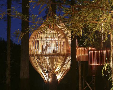 The Redwood Treehouse Restaurant in New Zealand - Love it!