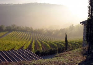 Tuscany : view from Vignale