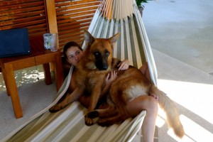 Pet Sitting Koh Samui, Thailand