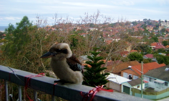 View from our Wimdu apartment