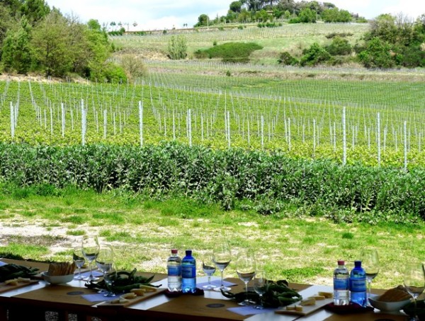 Umbria Italy Winery