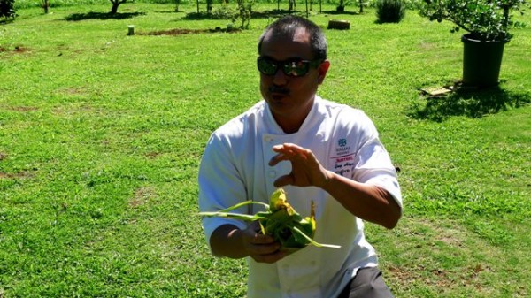 Guy Higa Garden Marriott Kauai