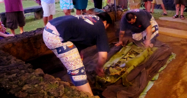 Pig being pulled out of the ground